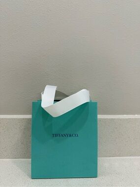 TIFFANY & CO. Small Gift Bag